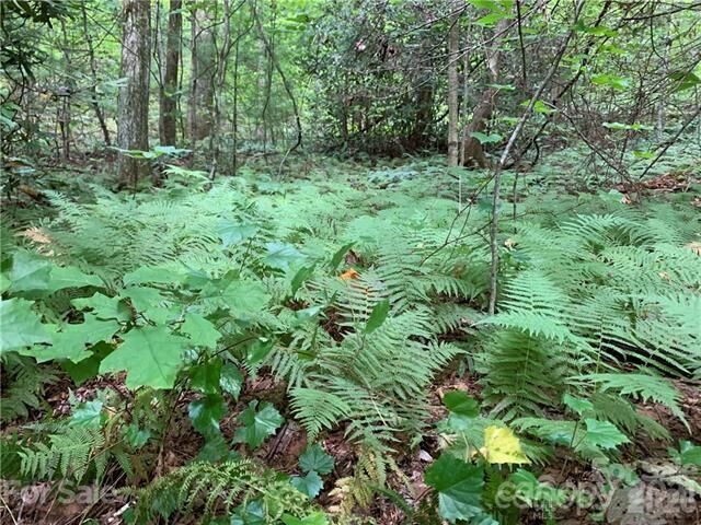 Property Photo:  000 Peppervine Circle  NC 28772 