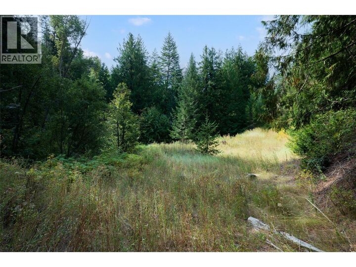 Property Photo:  Lot 1 Hwy 33 Highway East  BC V1P 1H3 