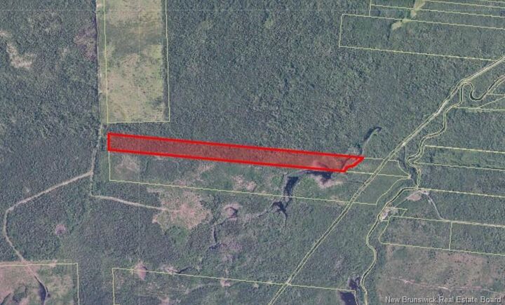 Property Photo:  / Little River  NB E2A 6M8 
