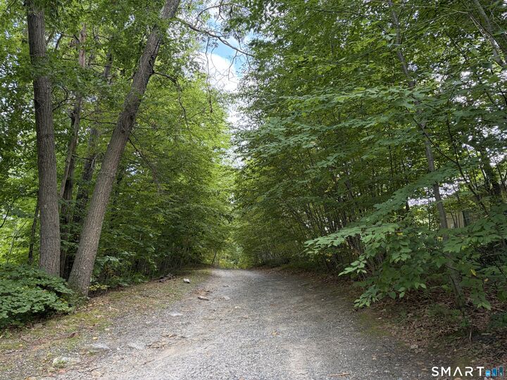 Property Photo: 106 Hempel Drive CT 06716