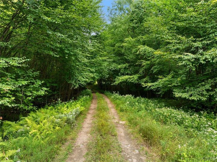 Property Photo:  51 Donavan Road  NY 13454 