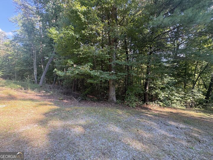 Property Photo:  0 Macedonia Church Road  GA 30513 