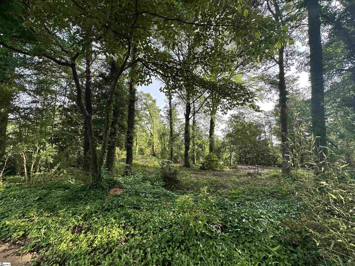 Property Photo:  308 Old Grove Road  SC 29605 
