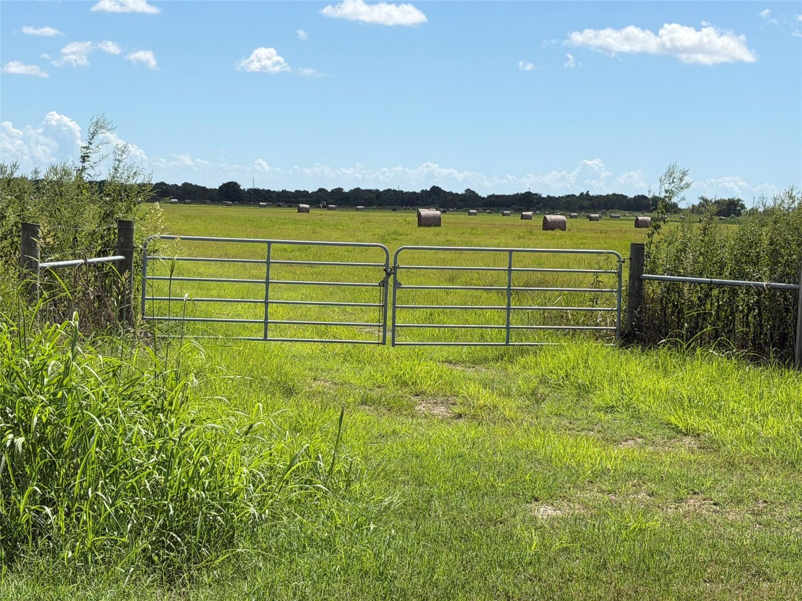 Property Photo:  0 County Road 170  TX 77511 