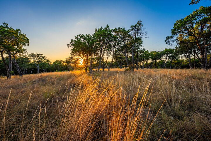Property Photo: 137 Honeycomb Lane TX 78028