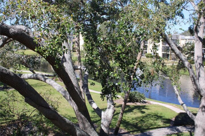 Property Photo: 14130 Rosemary Lane 1305 FL 33774