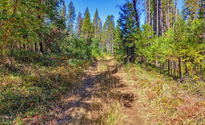 Property Photo: 13492 Gracie Road CA 95959