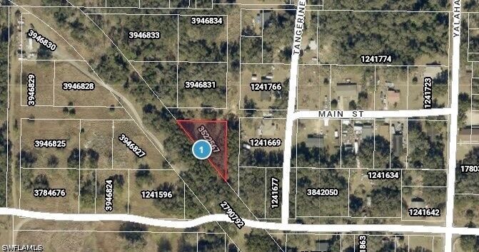 Property Photo: Xxx Tangerine Street FL 34797