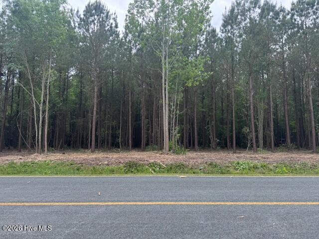 Property Photo:  3 3 Great Swamp Road  NC 28527 