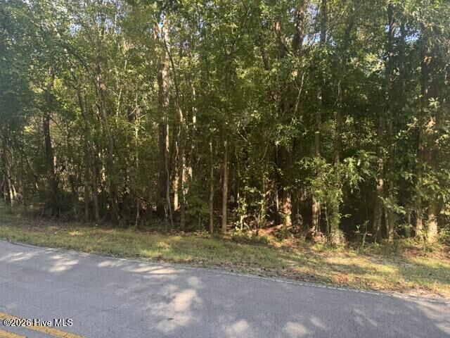 Property Photo: B02-16 Olympia Road NC 28560