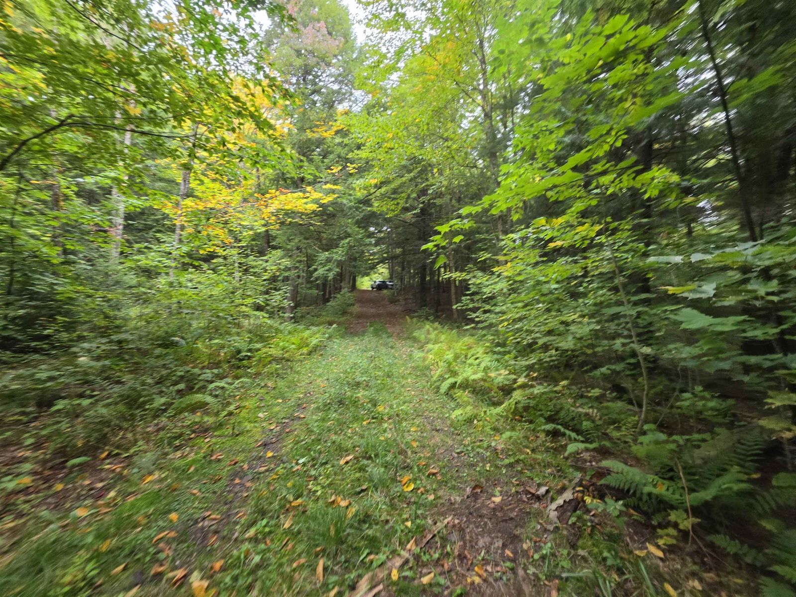 Property Photo:  Lot#7 Woodland Drive  VT 05859 