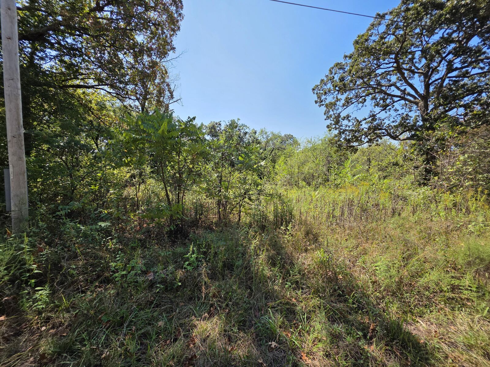 Property Photo:  000 E Abbott Road  MO 64783 