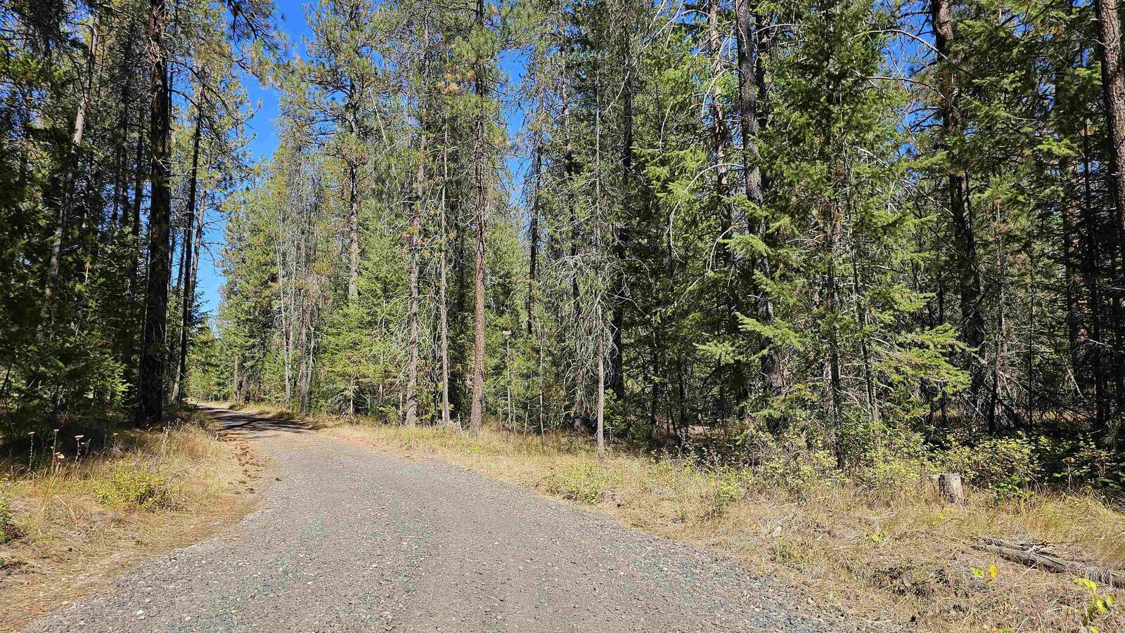 Property Photo:  385X Agar Rd  WA 99148 