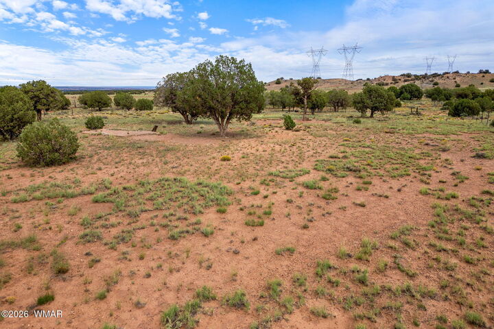 Property Photo:  316 County Rd 9211  AZ 85924 