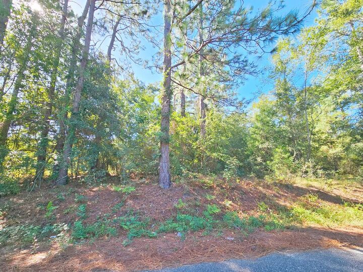 Property Photo:  6114 Poplar Road  GA 31705 
