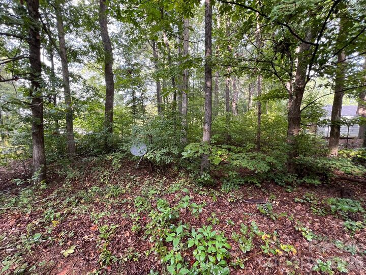 Property Photo:  0 Hayes Waters Road 2  NC 28655 