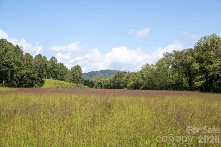 Property Photo: 3305 Zacks Fork Road NC 28645