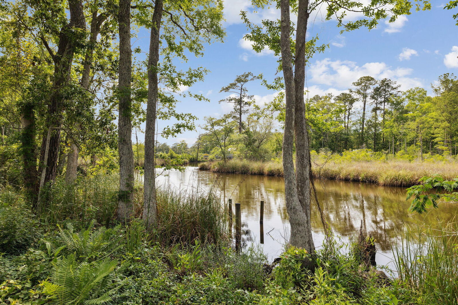 Property Photo: 193 Ramsey Branch Road Lot 2 FL 32439