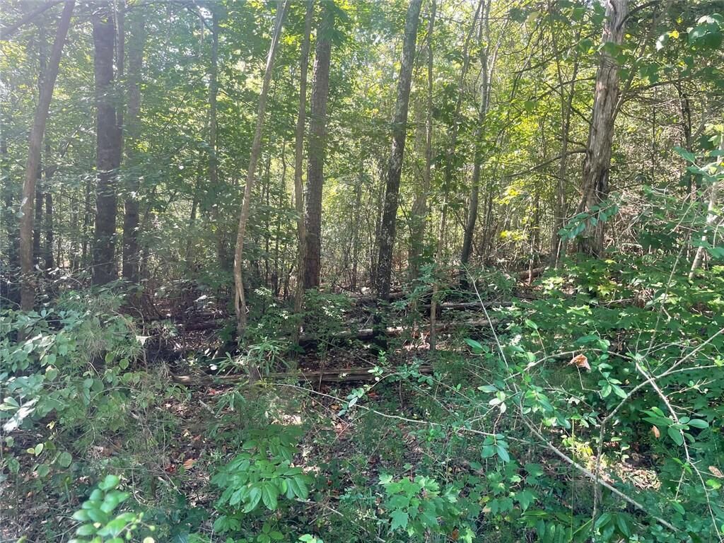 Property Photo: 0 Apache Trail GA 30557