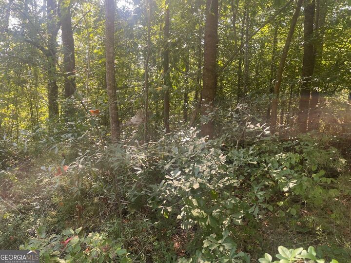 Property Photo: 0 Apache Trail GA 30557