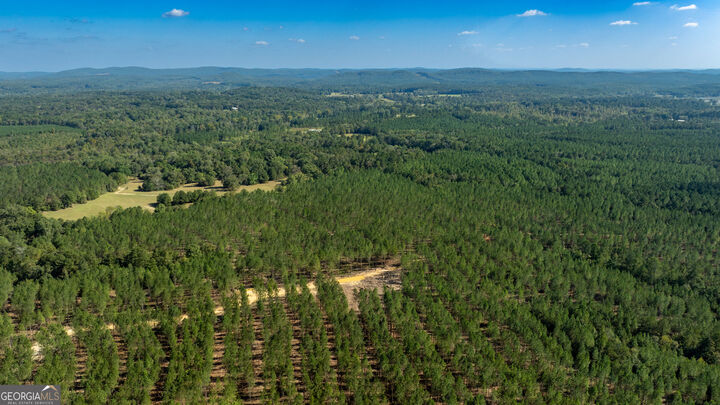 Property Photo: Tracts 10,11,12 Livingston Rd SW GA 30161