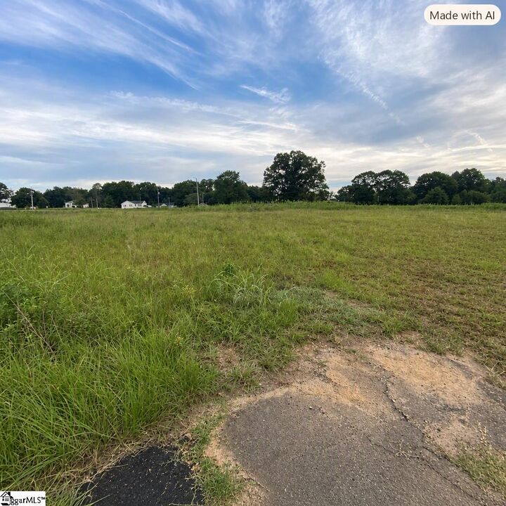Property Photo:  00 Echange Drive  SC 29360 