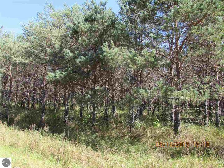 Property Photo:  371 Kleehammer Club Drive  MI 49646 