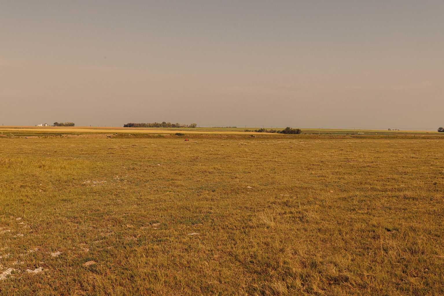 Property Photo:  Parcel 1 Range Road 271 Just South Of Highway 9.  AB T0M 1G0 