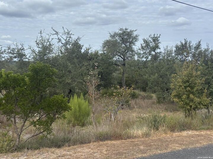 Property Photo: 26319 Quail Grove Ln TX 78006