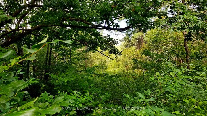 Property Photo:  Lot 31 9 County Road  ON N0C 1B0 