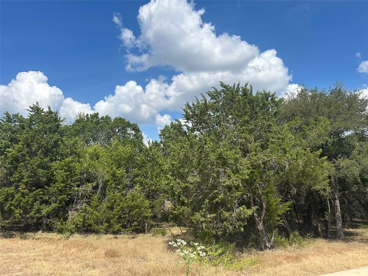 Property Photo: 76 Deer Ridge Road TX 78676