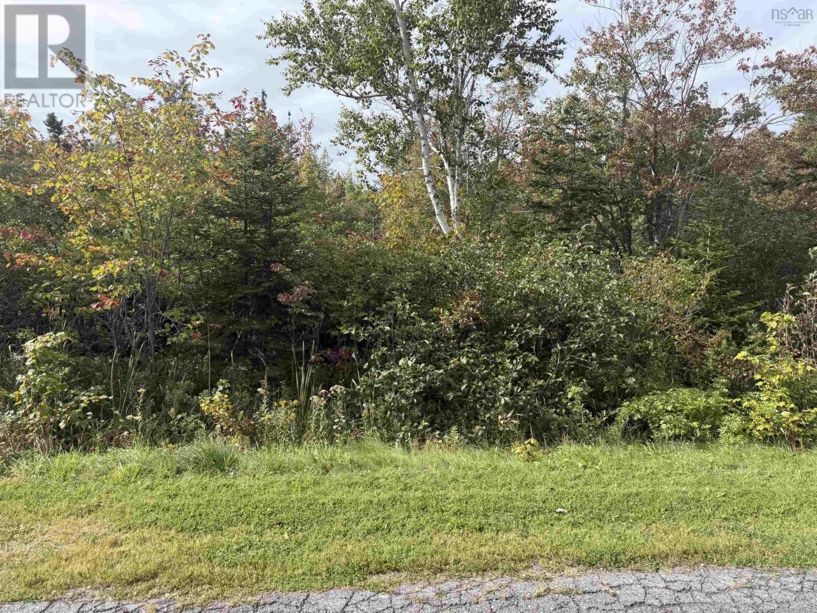 Property Photo:  Lot25 Schaller Drive  NS B1L 1A1 