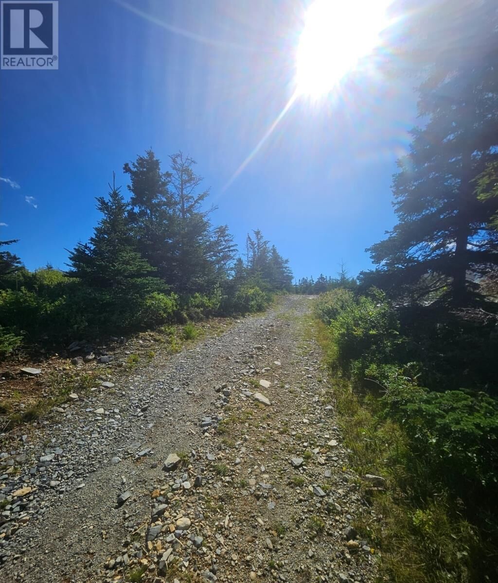 Property Photo:  95A Chipmans Road  NL A0A 3X0 
