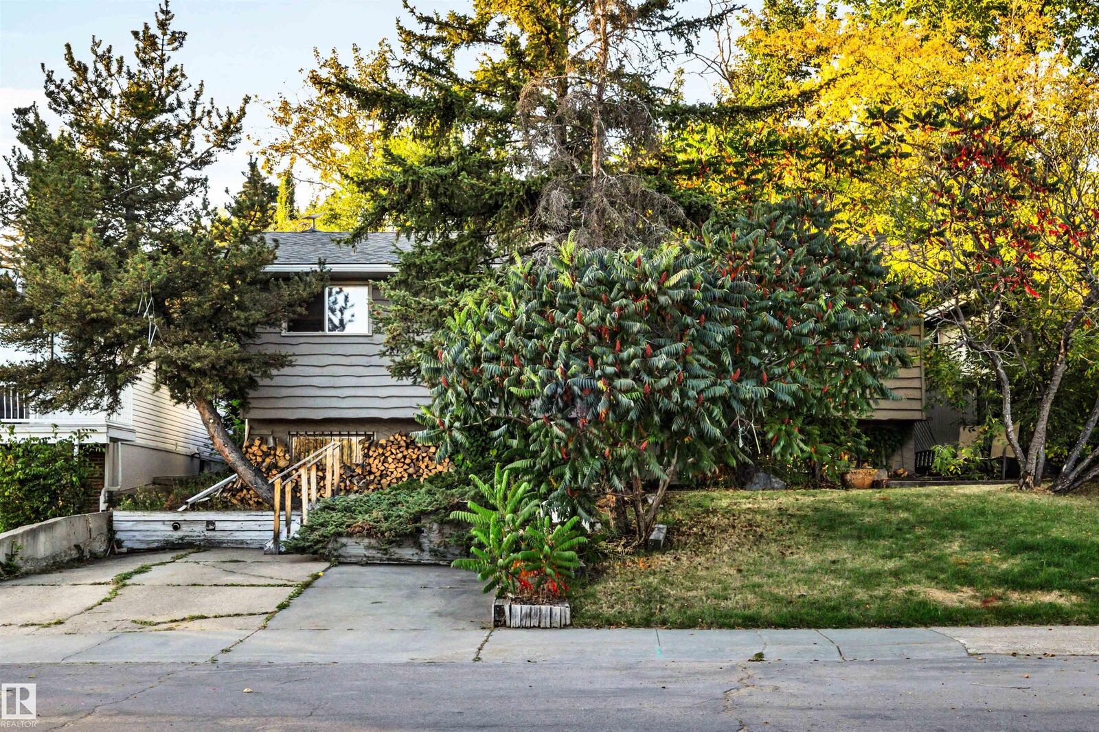 Property Photo:  10332 29 Street NW  AB T5W 1V4 