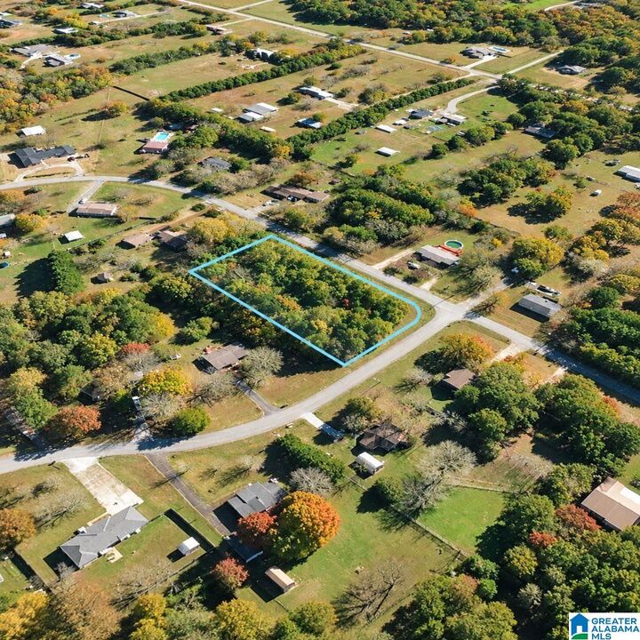 Property Photo:  119 Sunshine Drive 7  AL 35749 