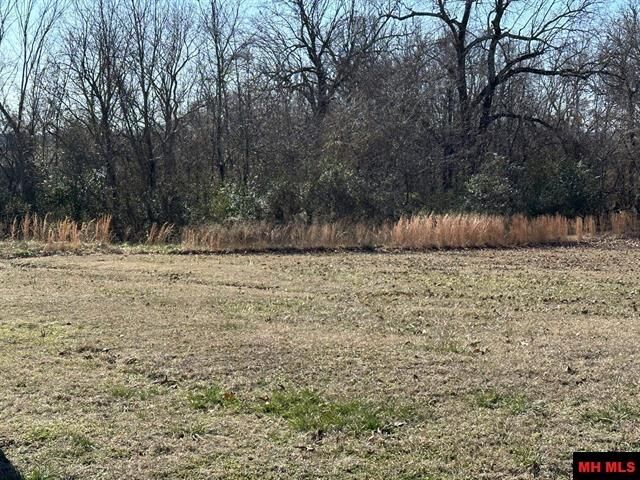 Property Photo:  Lots 1657-1660 9th Street  AR 72626 