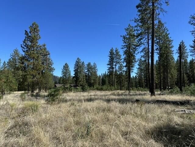Property Photo:  1188 L Fumi Cir  WA 99141 