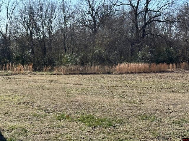 Property Photo:  Lots 1657-1660 9th Street  AR 72626 