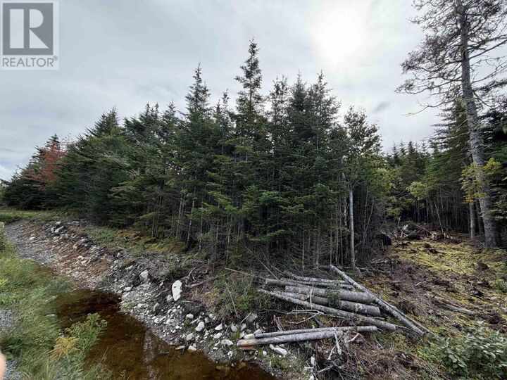 Property Photo:  Lot 2 Conrod Beach Road E  NS B0J 2L0 