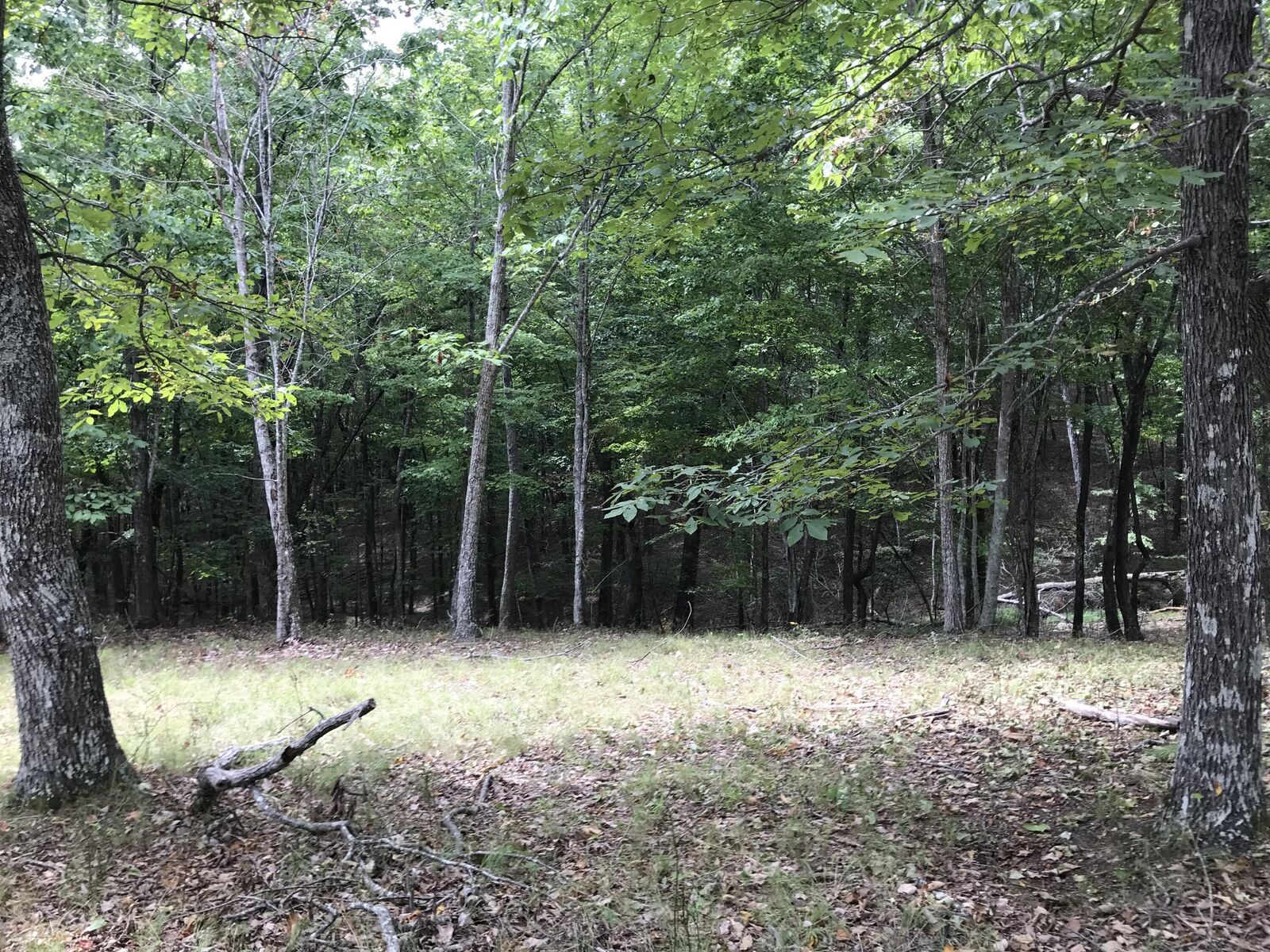 Property Photo: 103-B Bluffview Drive TN 37327