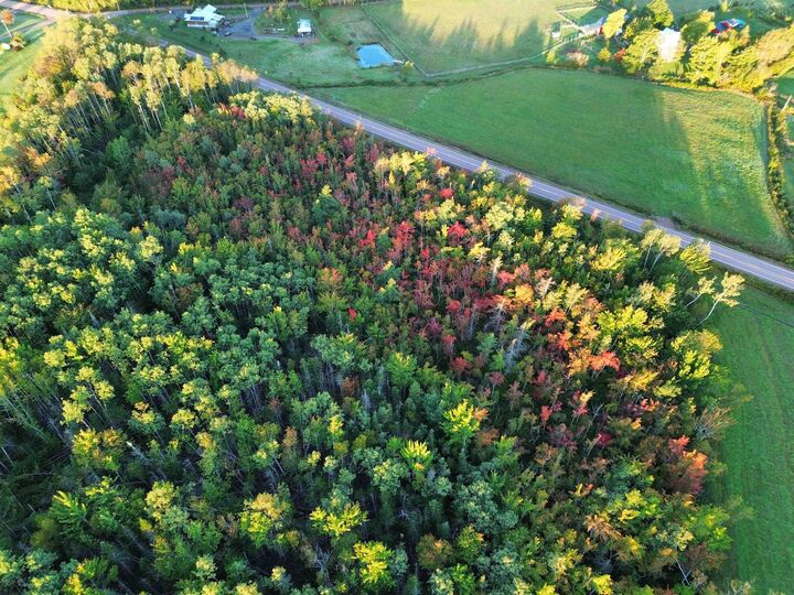 Property Photo:  Highway 246  NS B0K 1V0 