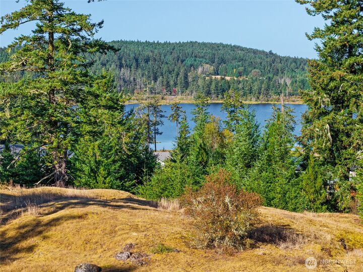 Property Photo:  0  Woodpecker Lane  WA 98250 
