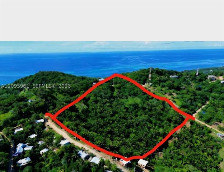 Property Photo: Crawfish & Palmetto Bay FL