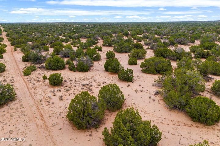 Property Photo:  Lot 3 Witch Well Ranches -- 3  AZ 85936 