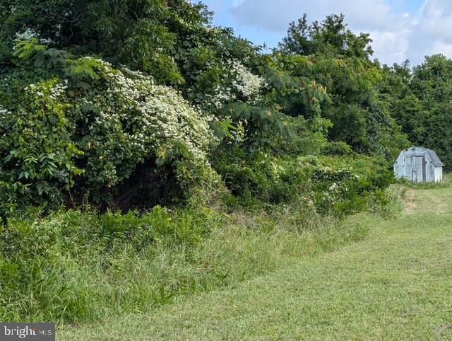 Property Photo:  2685 Bank Road  MD 21840 