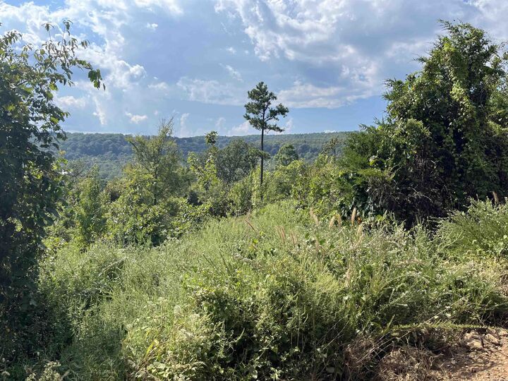 Property Photo:  2314 Little Red River  AR 72650 