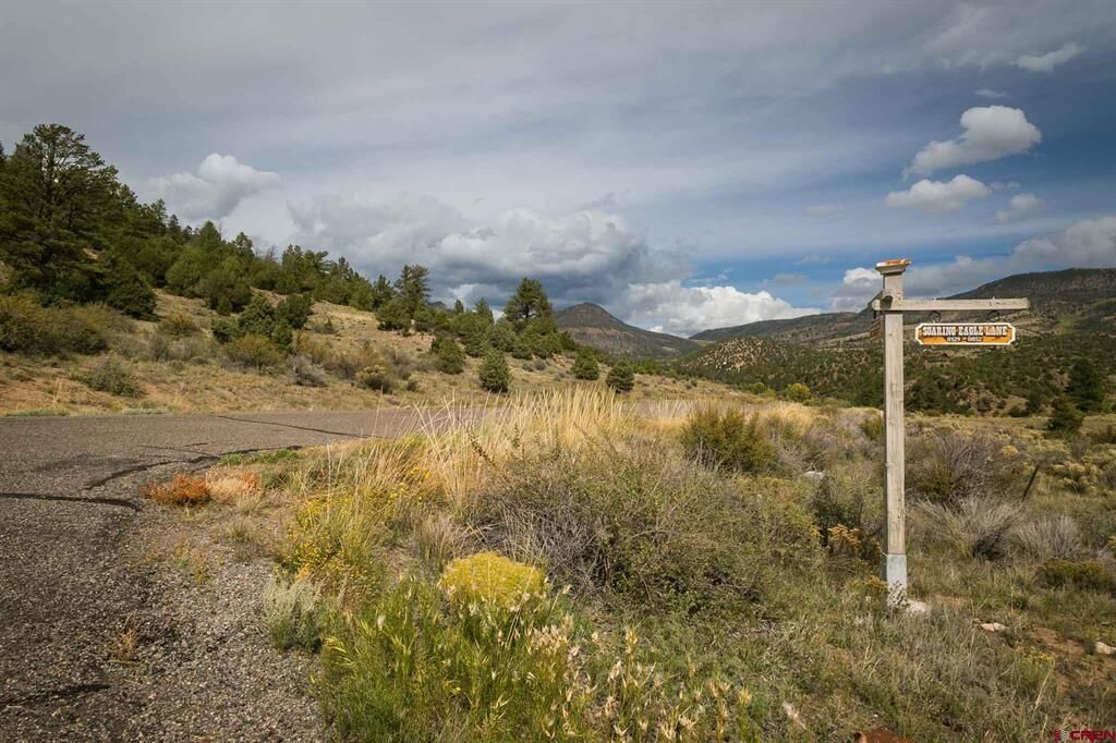 Property Photo:  963 Bear Creek Circle  CO 81154 