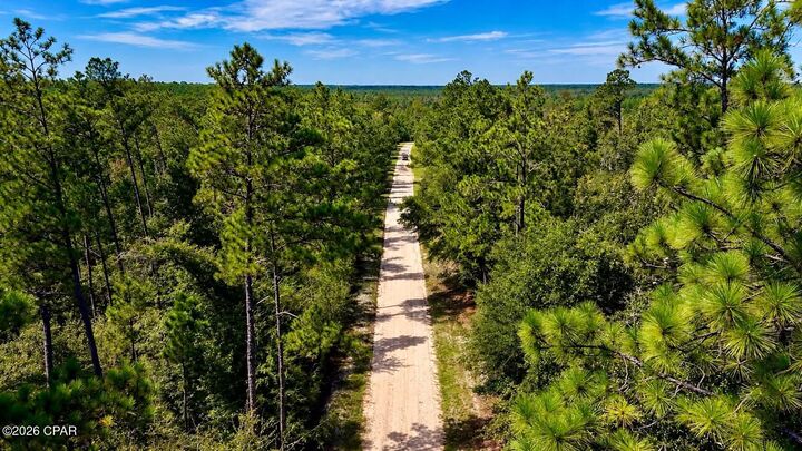 Property Photo: 00 Pitts Rd Road FL 32438