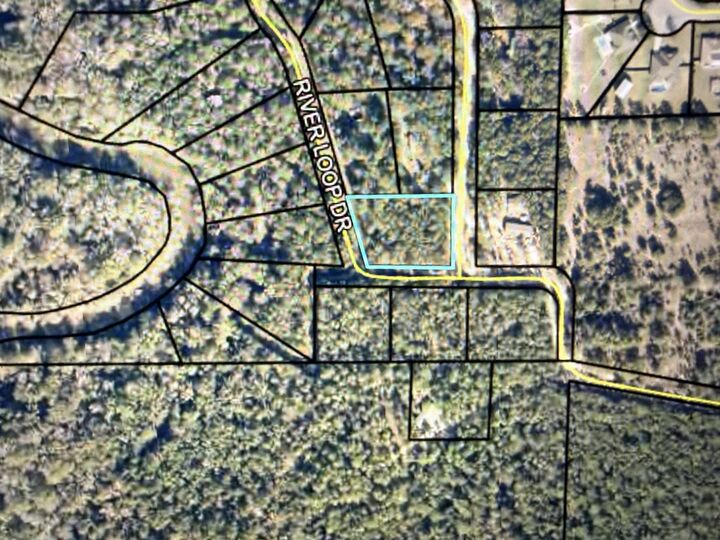 Property Photo: Tbd River Loop Drive Lot 21 FL 32536