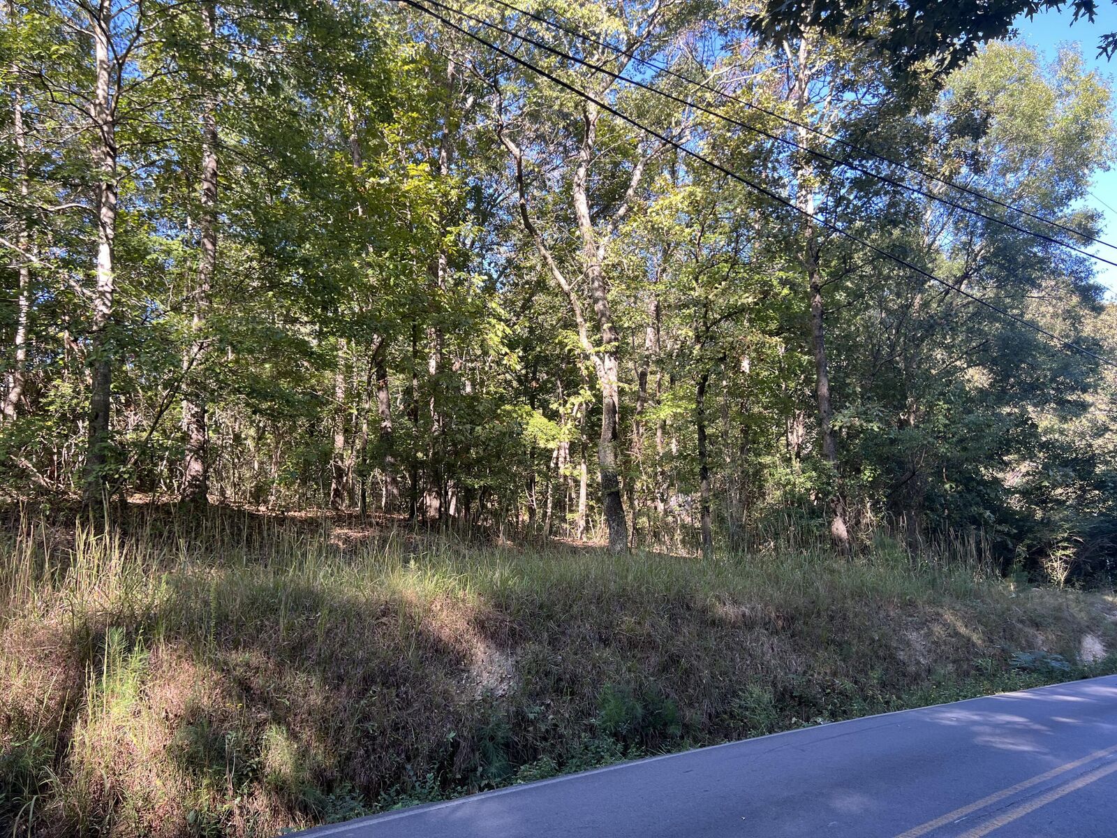 Property Photo:  00 Rocky Hollow Road  GA 30747 